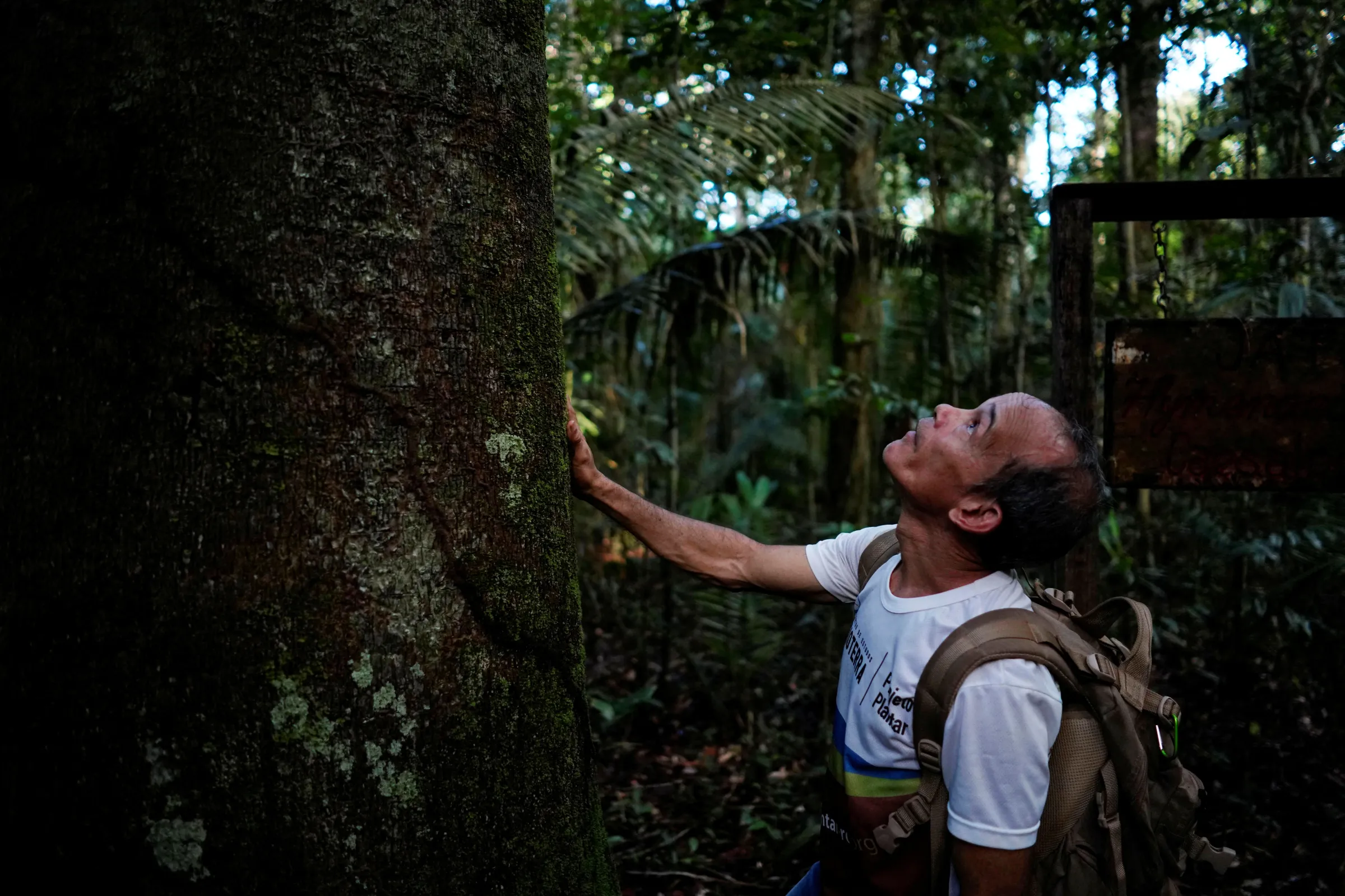 A former worker of nonprofit group Rioterra checks a tree at the Jamari National Forest, in Itapua do Oeste, Rondonia state, Brazil February 17, 2020. REUTERS/Alexandre Meneghini